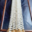 A8421ae4245874d8fa034e399ffc238c1C