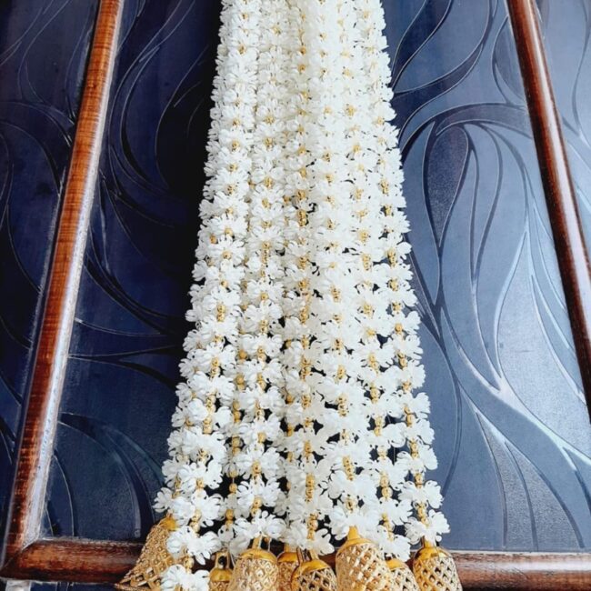 A8421ae4245874d8fa034e399ffc238c1C A8421ae4245874d8fa034e399ffc238c1C