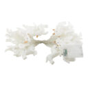 Hf89b8e43375f41178e8a5ef13e803866b