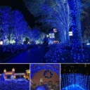 assorted-15-mtrs-rice-led-string-light-assorted-15-mtrs-rice-led-string-light-n07dgu